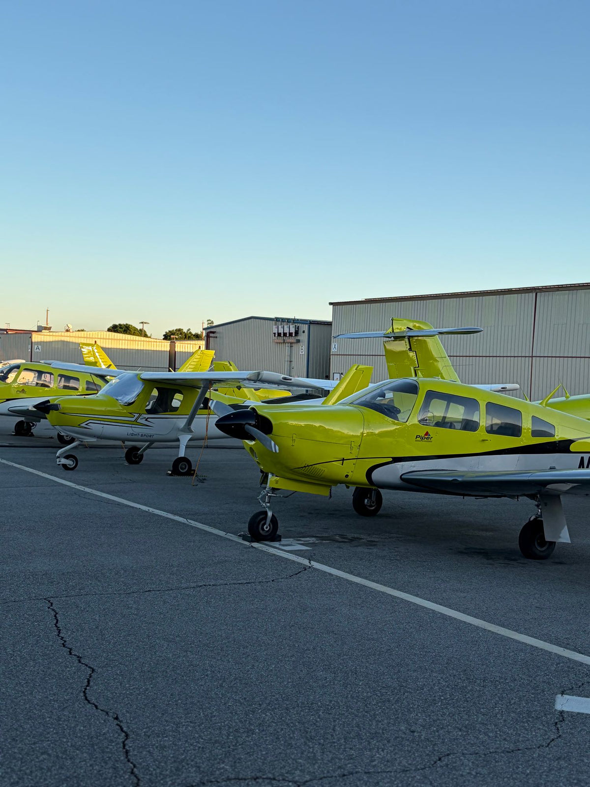 Yellow Piper Arrow in the foreground of a row of yellow trainers by the hangars, portrait view